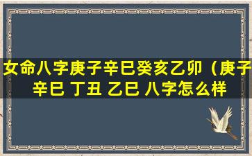 女命八字庚子辛巳癸亥乙卯（庚子 辛巳 丁丑 乙巳 八字怎么样）